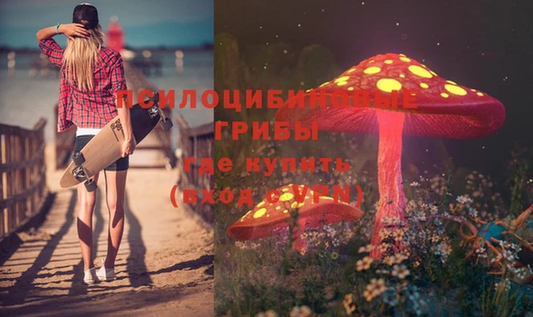 бошки Алексеевка