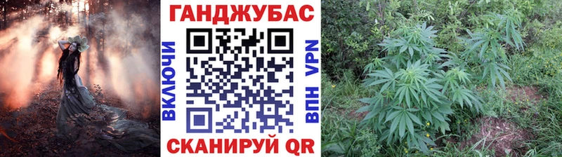 купить закладку  Починок  Каннабис тримм 